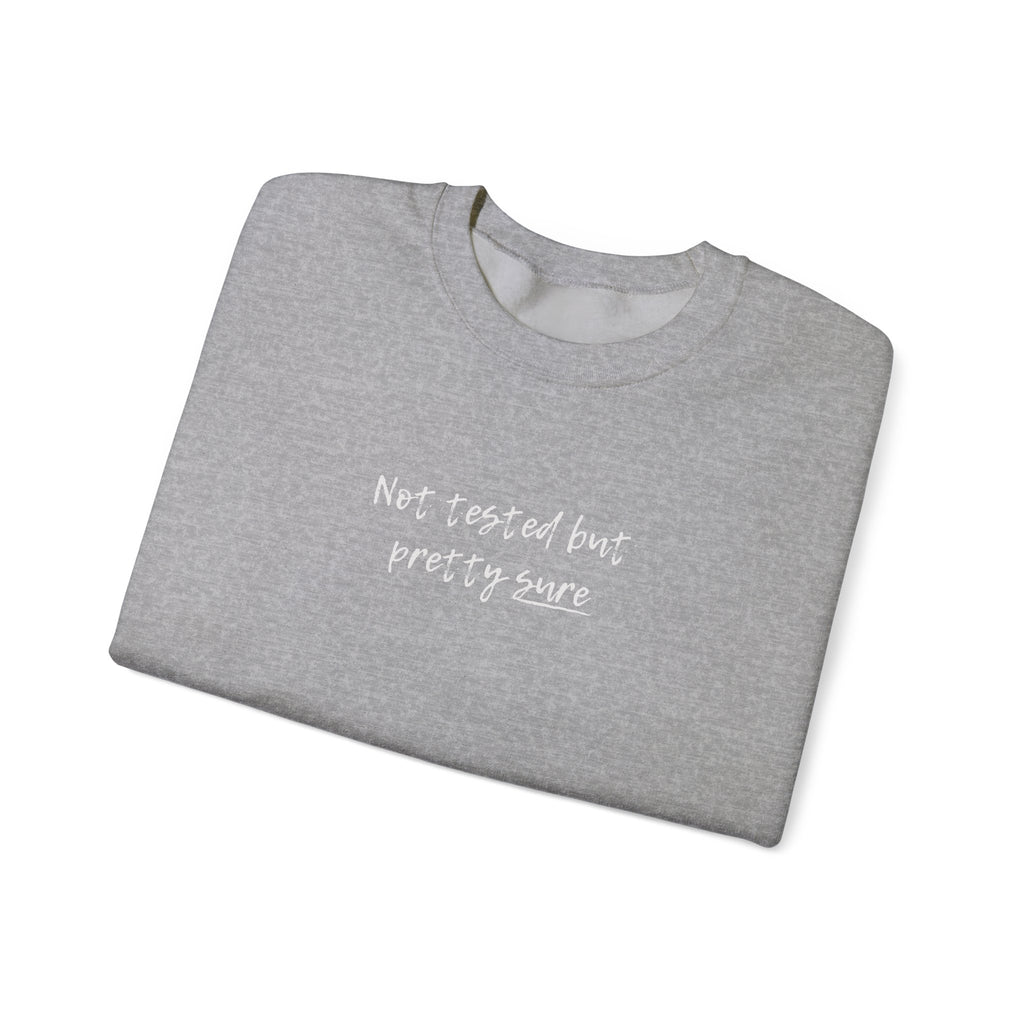 Not tested but pretty sure sweatshirt | minimalist handwritten text crewneck